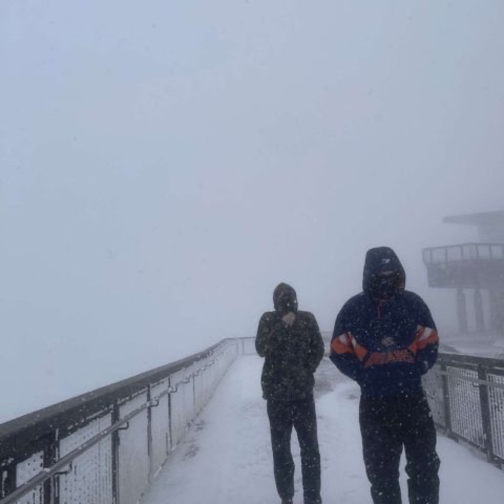 Meet your Posher, Alex